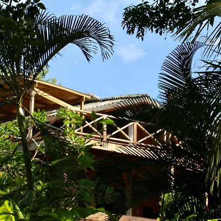 Eden Jungle Lodge Bocas del Toro Extérieur photo