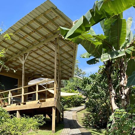 Eden Jungle Lodge Bocas del Toro Extérieur photo