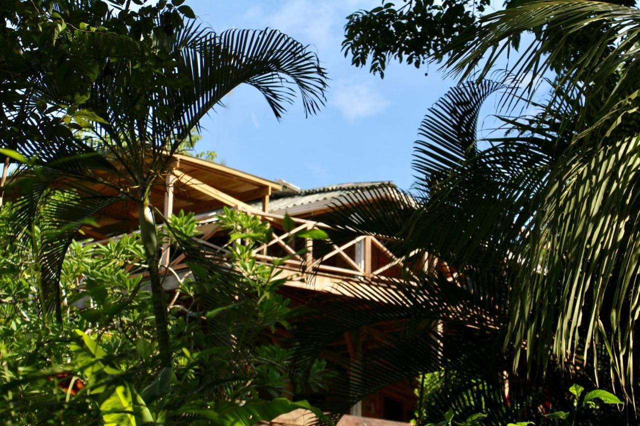 Eden Jungle Lodge Bocas del Toro Extérieur photo