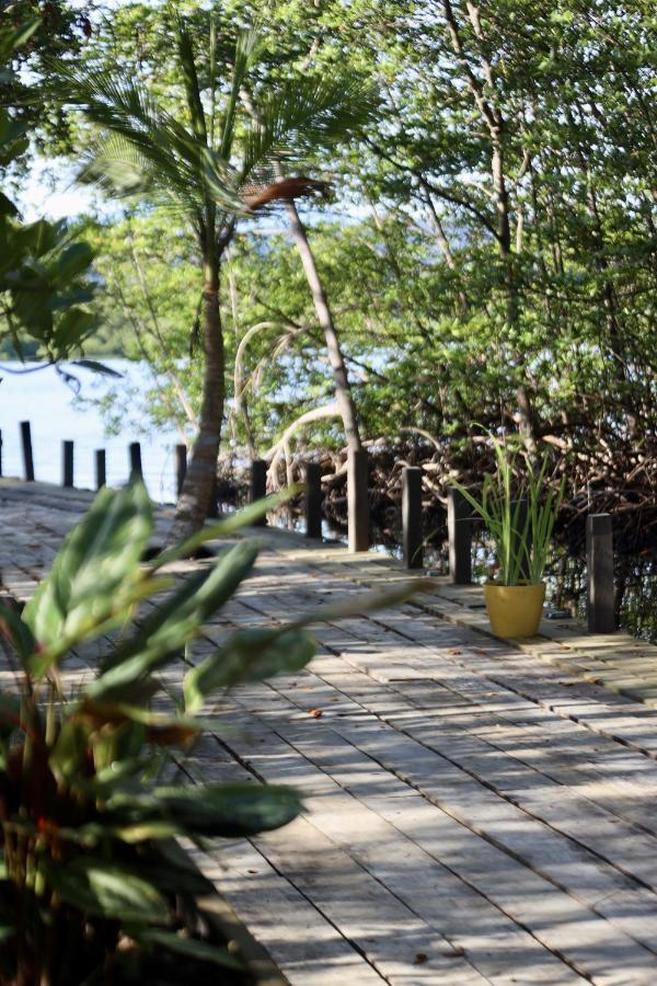 Eden Jungle Lodge Bocas del Toro Extérieur photo