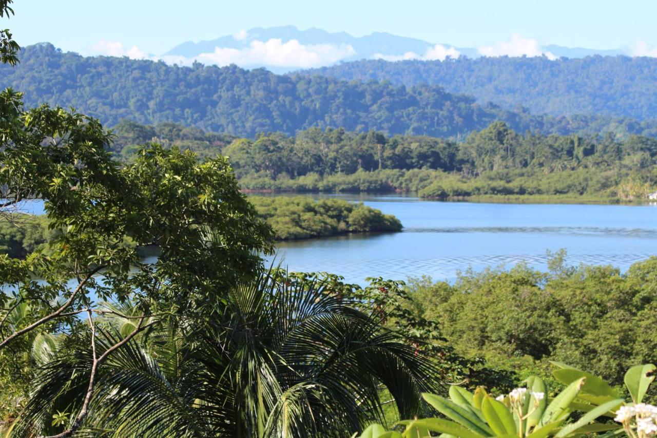 Eden Jungle Lodge Bocas del Toro Extérieur photo