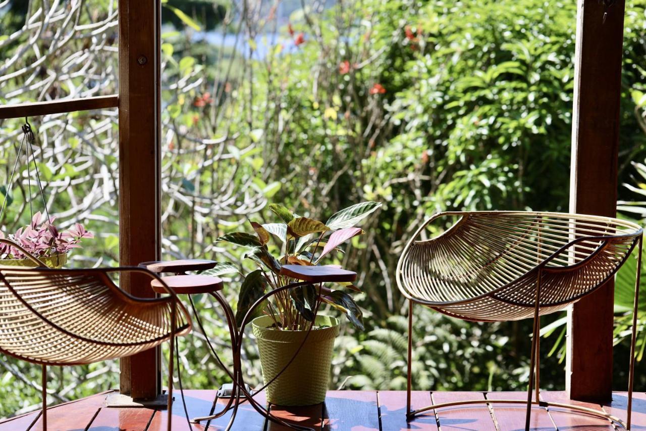 Eden Jungle Lodge Bocas del Toro Extérieur photo