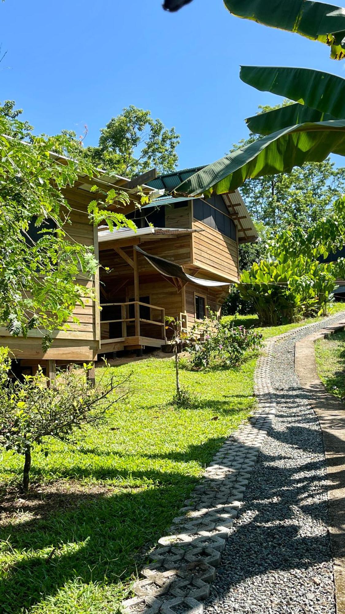 Eden Jungle Lodge Bocas del Toro Extérieur photo