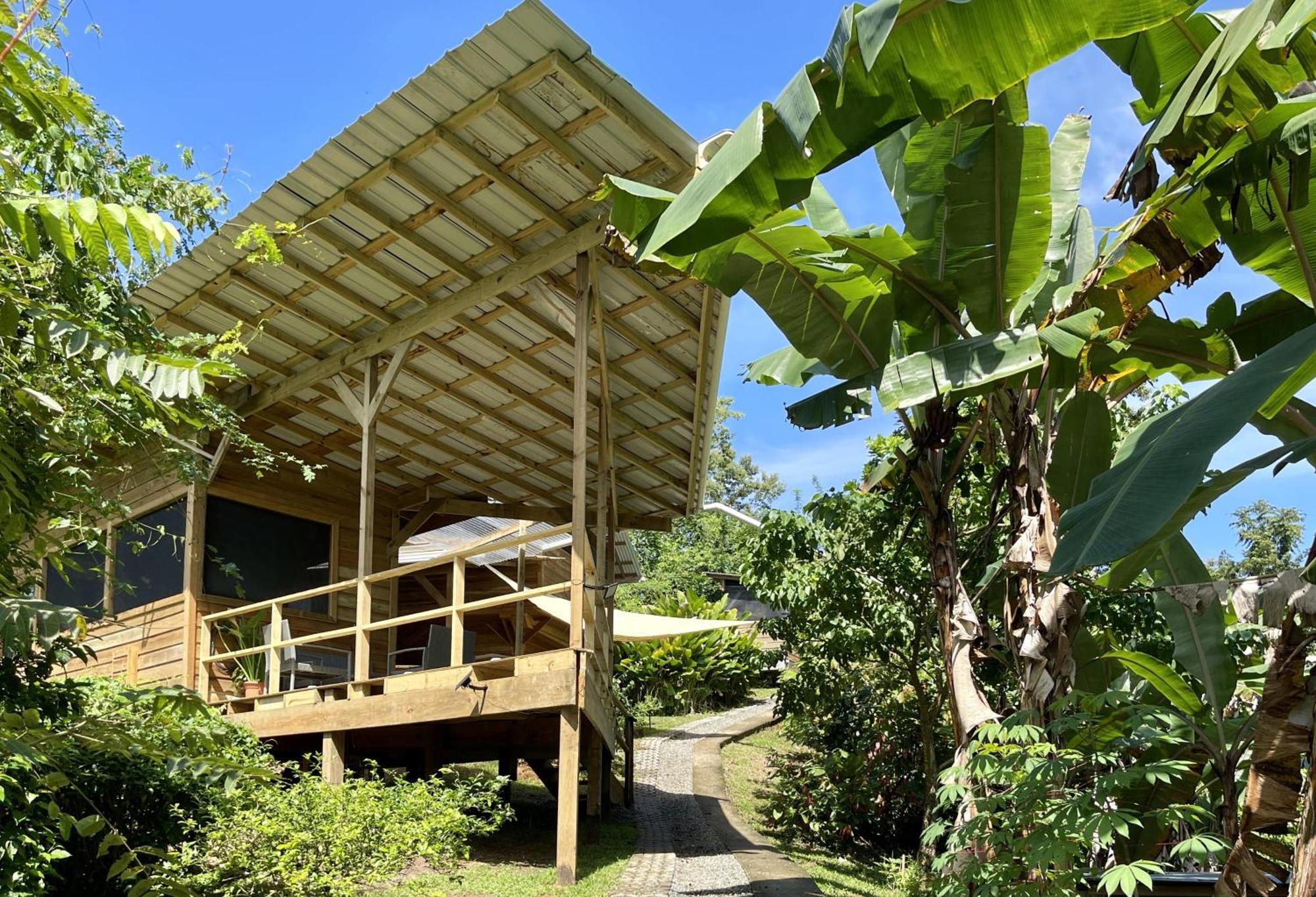 Eden Jungle Lodge Bocas del Toro Extérieur photo